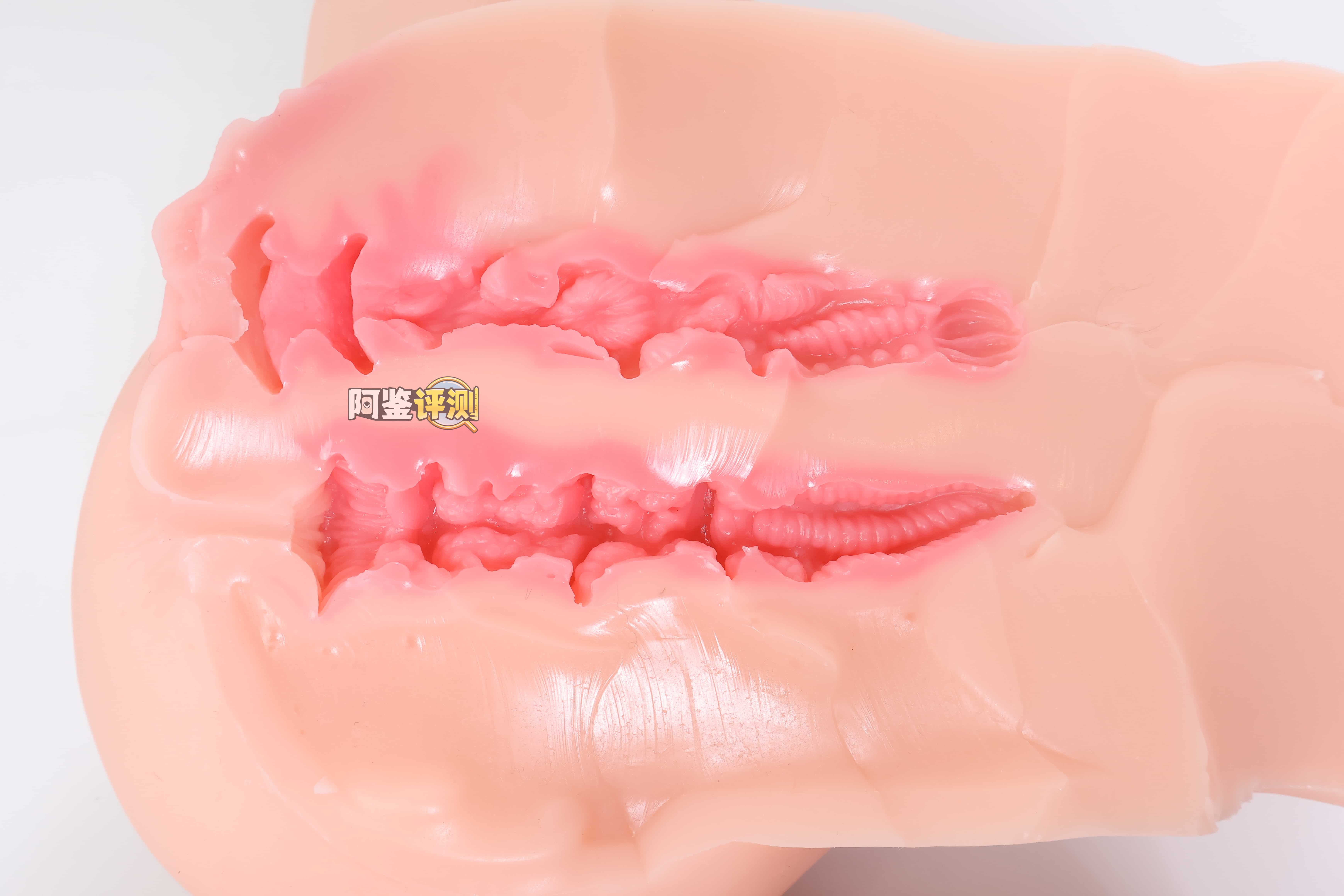 COC——”元气教练”评测！可可狼姬的肉色加大版，但脂软部分感觉做得稍微有些保守