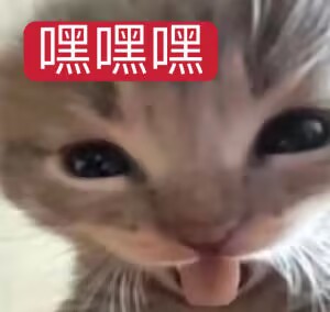 2025年年终—新品评测总结!三年半年近600篇文章,阿鉴的精神状态可好?