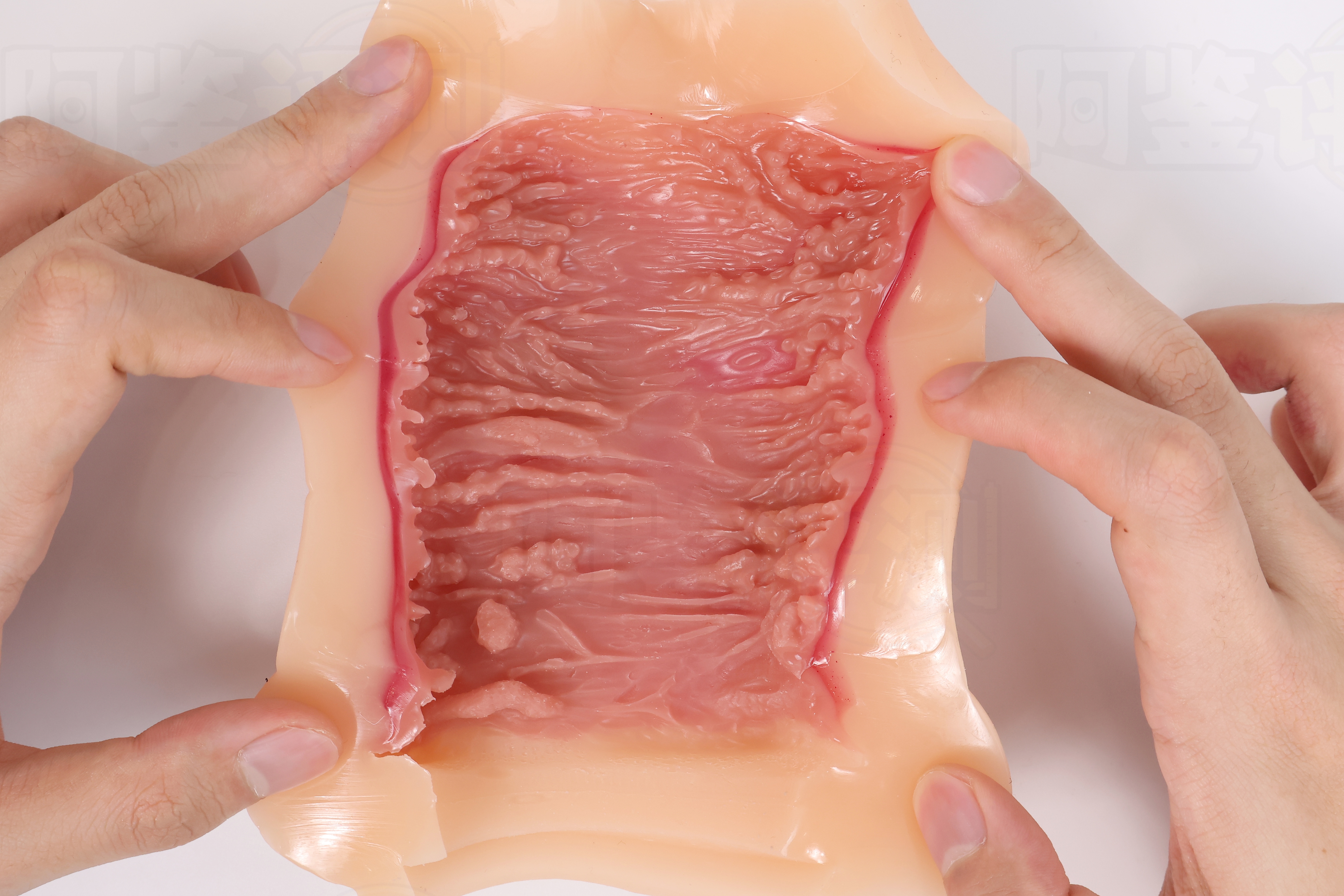 火炮——”梦无花果（0级/+2级）”评测！摸起来手感很有趣的黏膜概念杯，不过似乎并没有太多实际体验上的作用