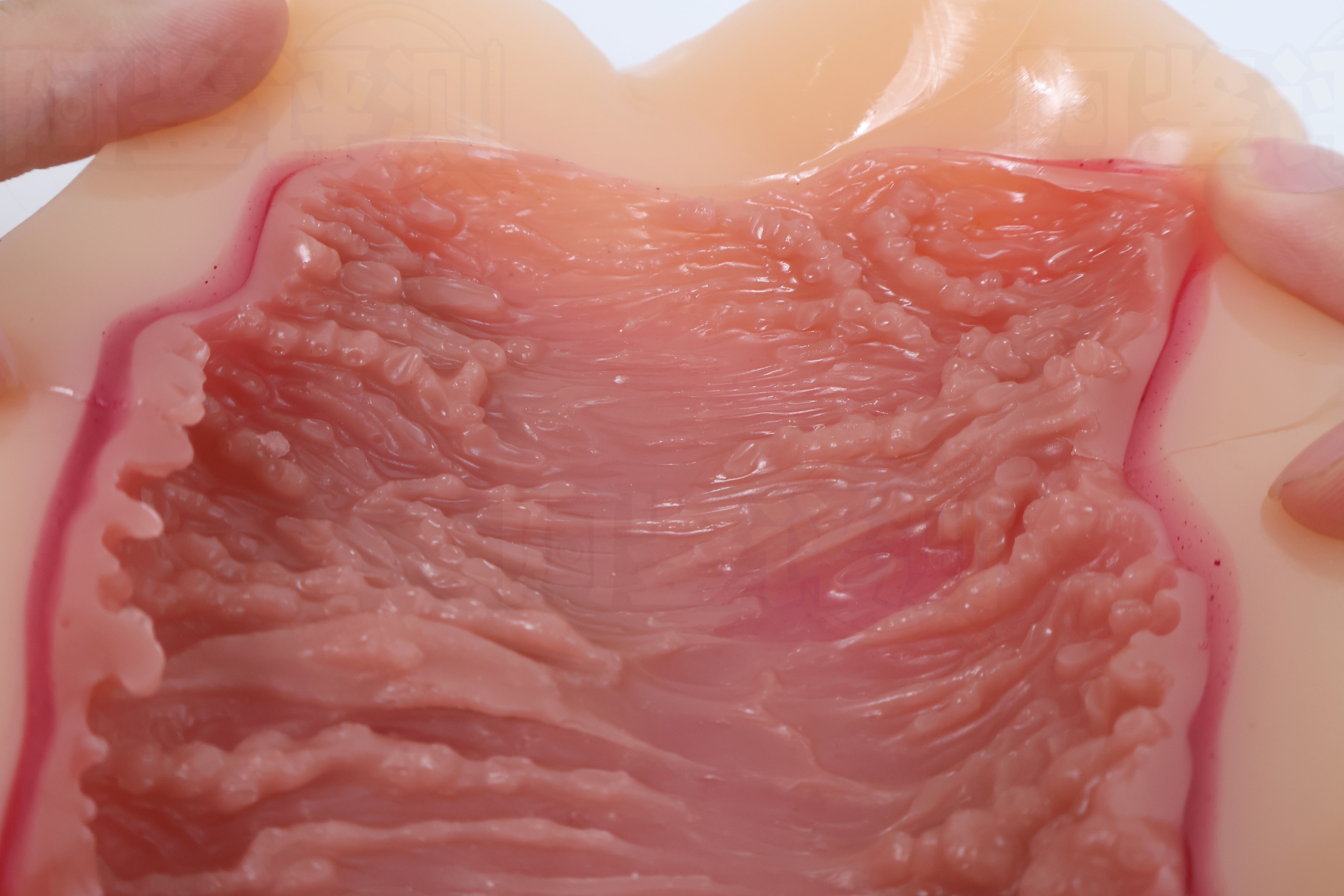 火炮——”梦无花果（0级/+2级）”评测！摸起来手感很有趣的黏膜概念杯，不过似乎并没有太多实际体验上的作用