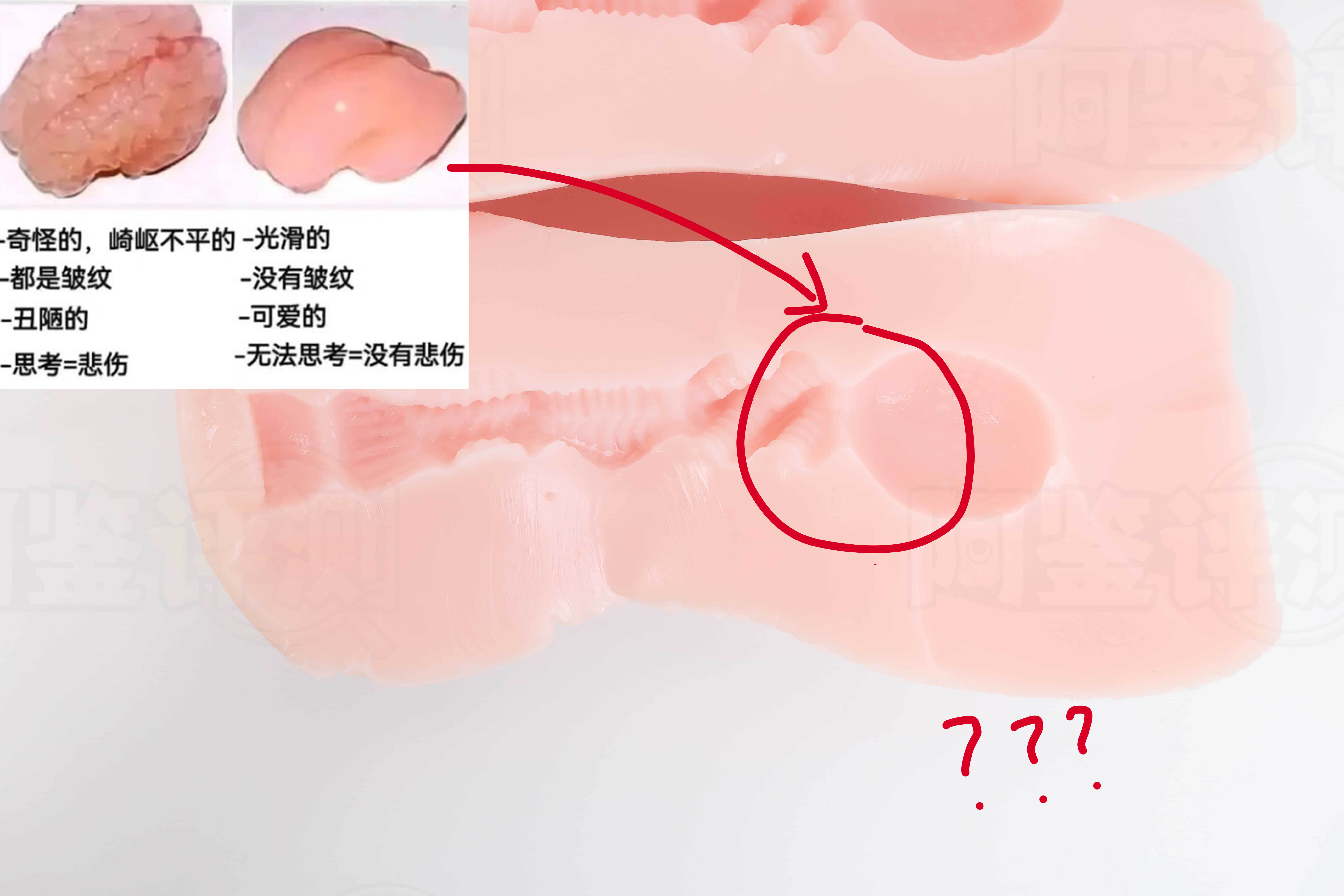 对子哈特——“魔女的诱惑”评测!孤注一掷的排气子宫设计,结果却是大烂尾?