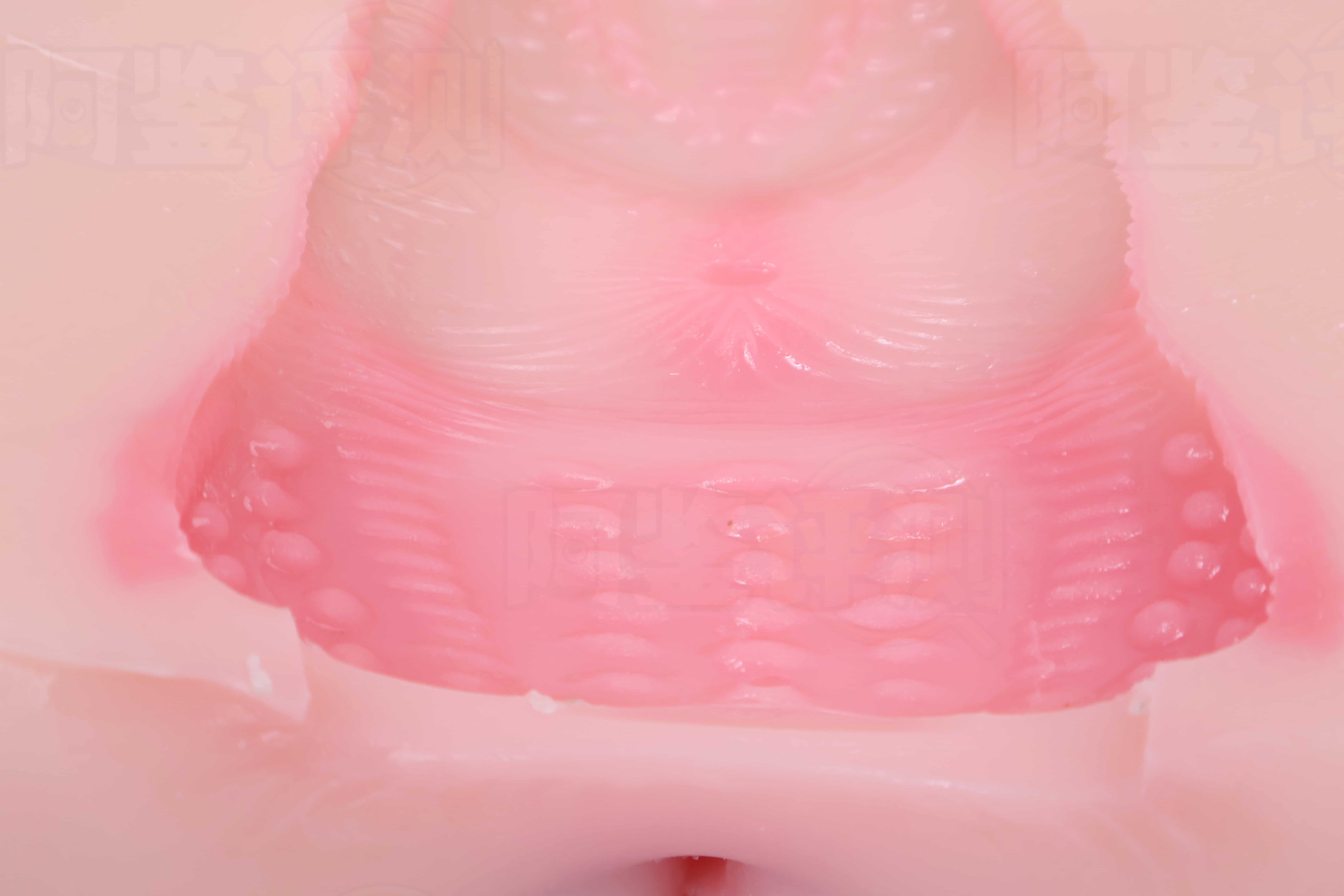 COC——“猫娘美优酱”评测!外观确实很可爱,但体验的其他方面几乎全是错的