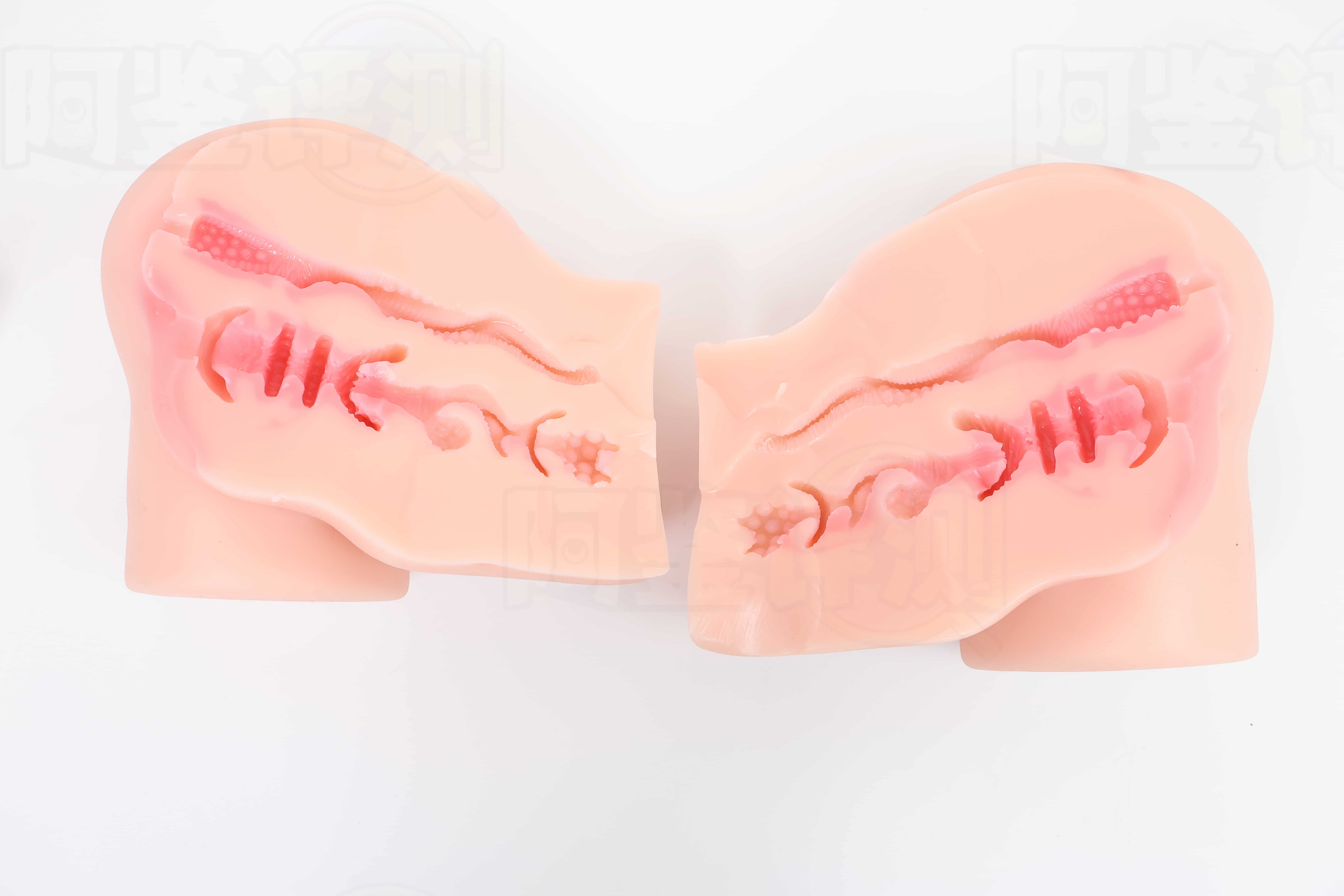 COC——“猫娘美优酱”评测!外观确实很可爱,但体验的其他方面几乎全是错的